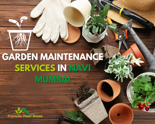 Garden Maintenance Services in Navi Mumbai